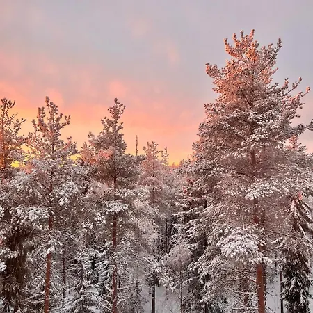 Bohemian North شقة روفانييمي