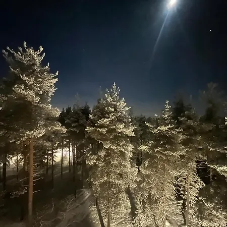 Bohemian North * Rovaniemi